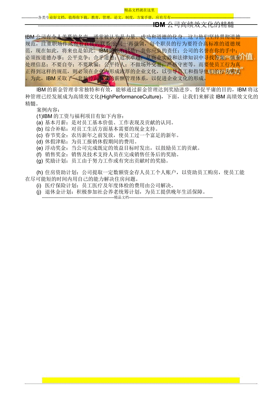 IBM公司高绩效文化的精髓_第1页