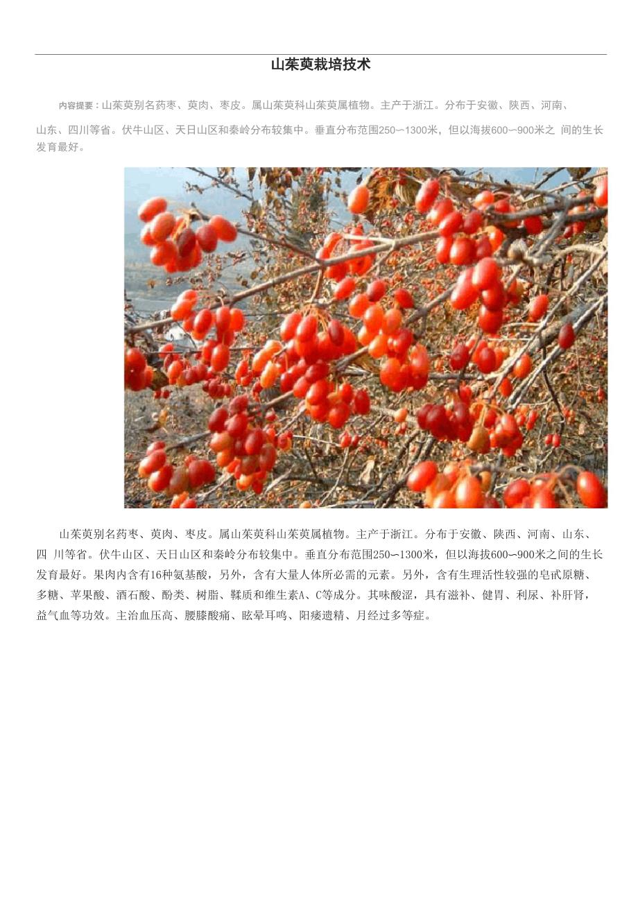 山茱萸栽培技术_第1页