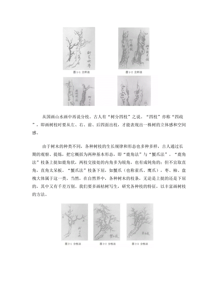 国画山水画之树的画法_第3页