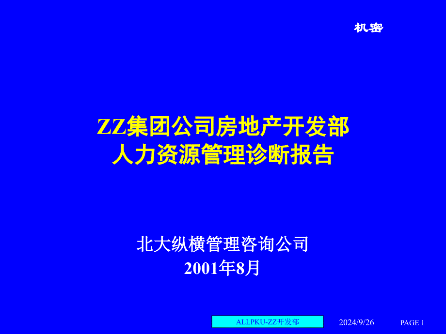 某某公司人力资源诊断报告_第1页