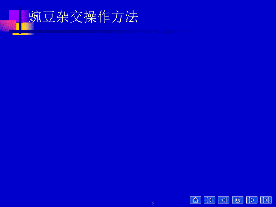 医学遗传学第三章孟德尔遗传定律总论课件.ppt_第3页