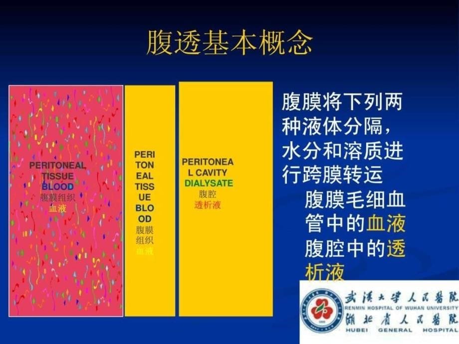 腹膜透析的基础知识.ppt_第5页