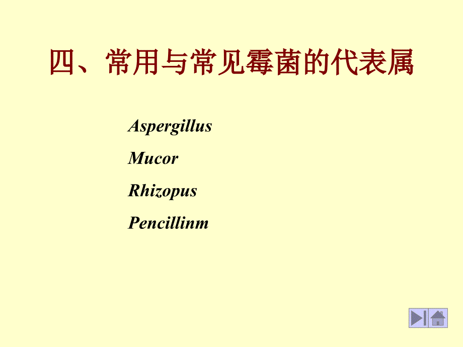 四常用与常见霉菌的代表属_第1页