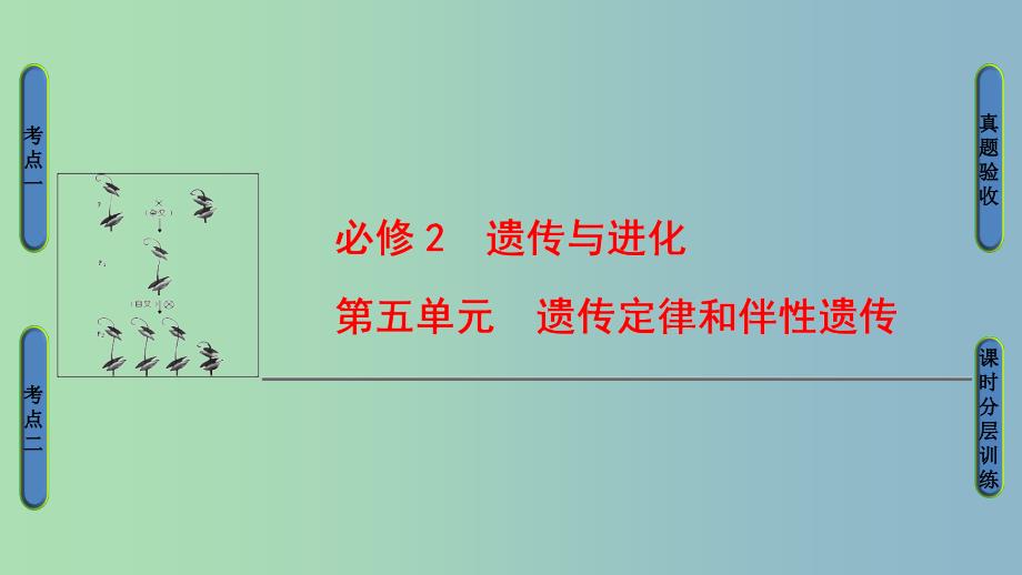 高三生物一轮复习第5单元第1讲孟德尔的豌豆杂交实验一课件新人教版.ppt_第1页