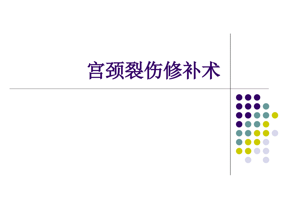 宫颈裂伤修补术 PPT课件.ppt_第1页