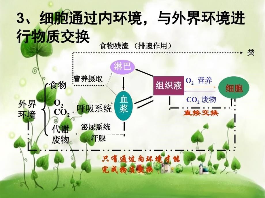 内环境的稳态课件_第5页