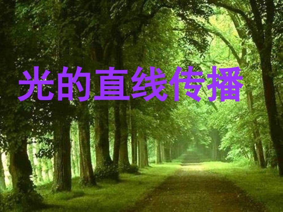 41光的直线传播_第1页
