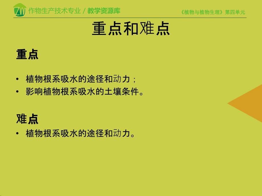 植物根系对水分的吸收PPT课件_第4页