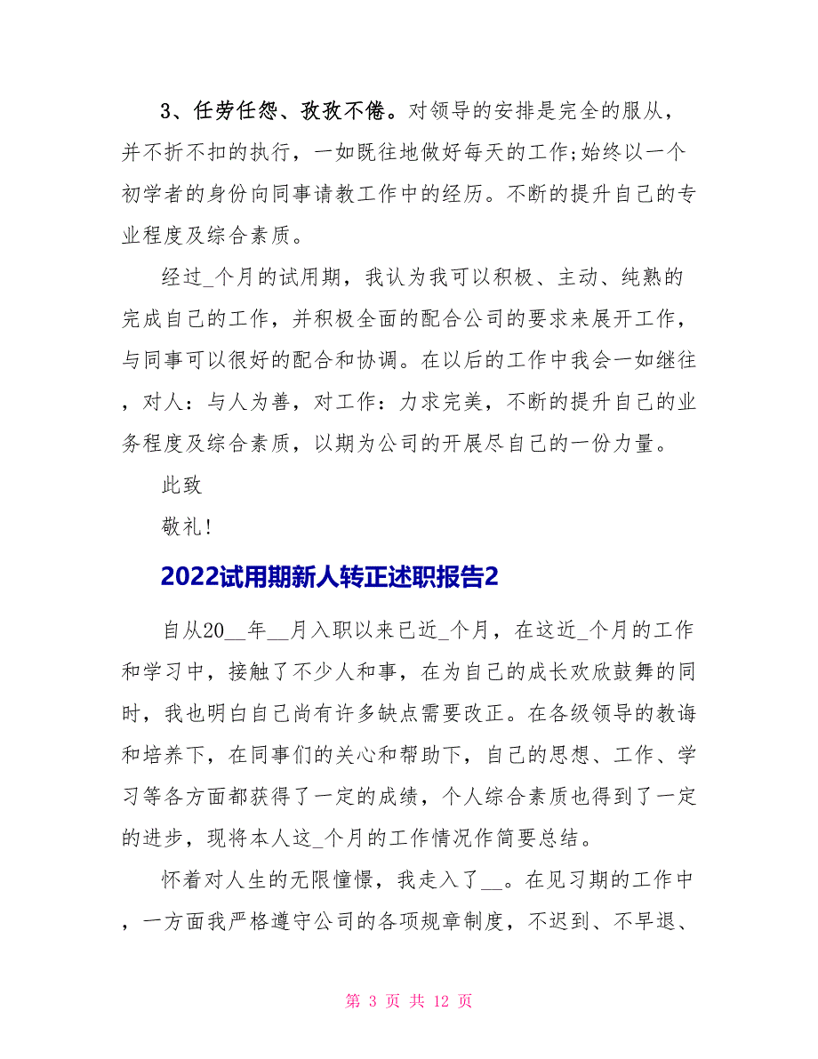 2022试用期新人转正述职报告_第3页