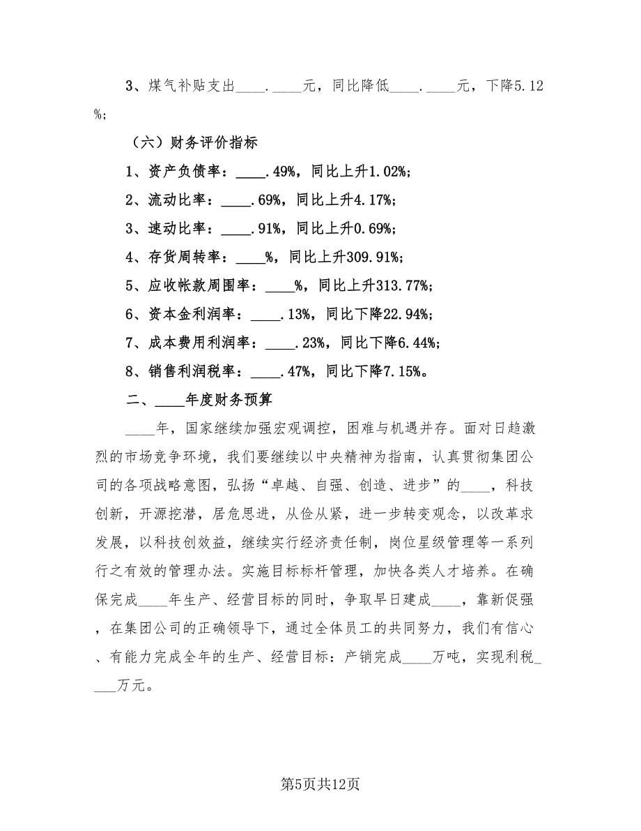 年度财务个人工作总结报告范文（4篇）.doc_第5页