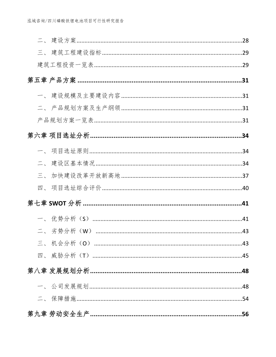 四川磷酸铁锂电池项目可行性研究报告【参考模板】_第2页
