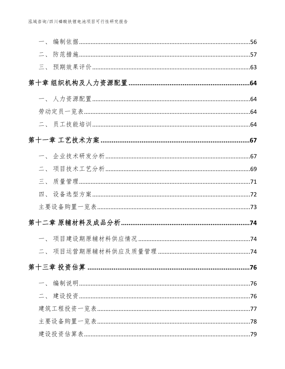 四川磷酸铁锂电池项目可行性研究报告【参考模板】_第3页