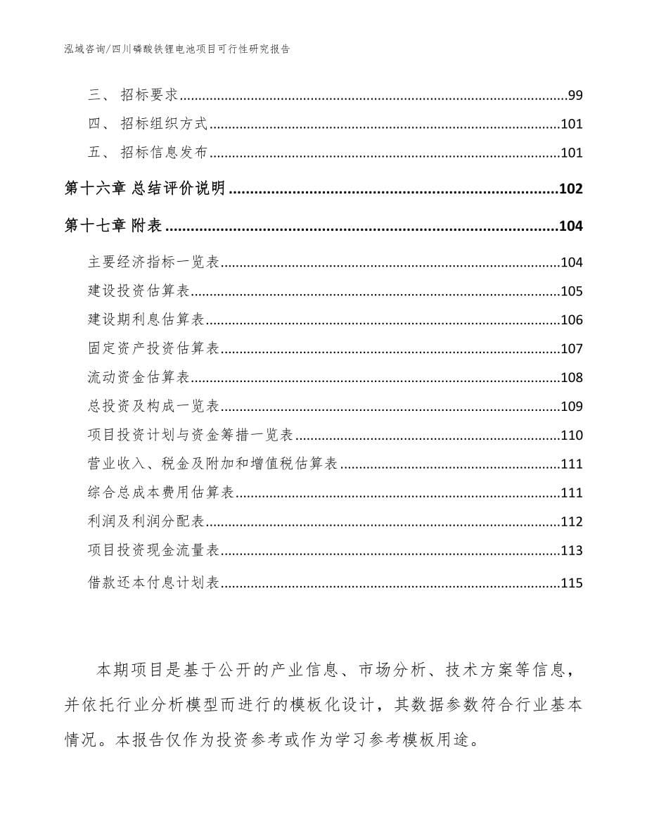 四川磷酸铁锂电池项目可行性研究报告【参考模板】_第5页