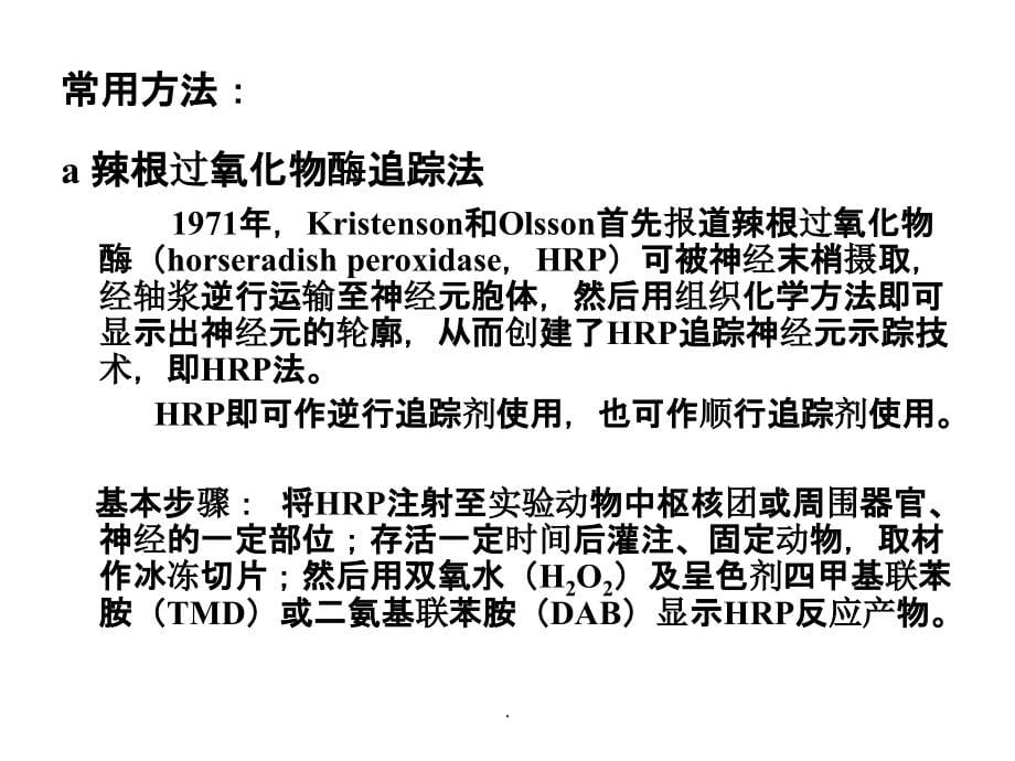 神经生物学的常用研究方法ppt课件_第5页