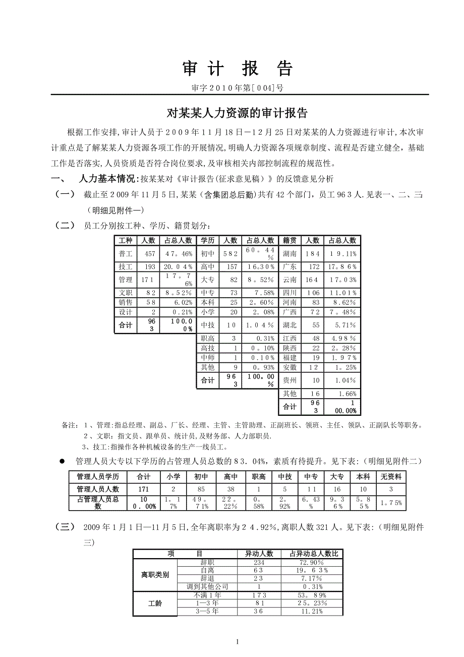 人力资源审计报告(定稿).doc_第1页