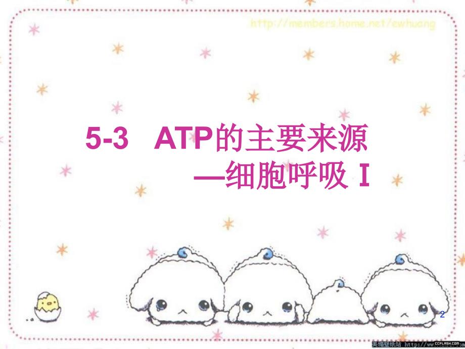 53atp的主要来源细胞呼吸1_第2页