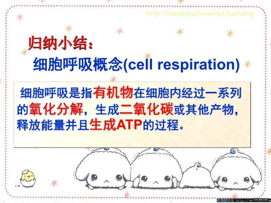 53atp的主要来源细胞呼吸1_第5页