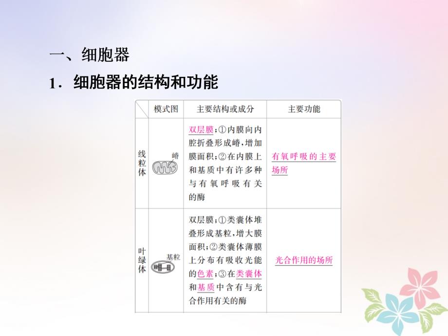 全国版高考生物一轮复习第6讲细胞器与生物膜系统课件_第4页