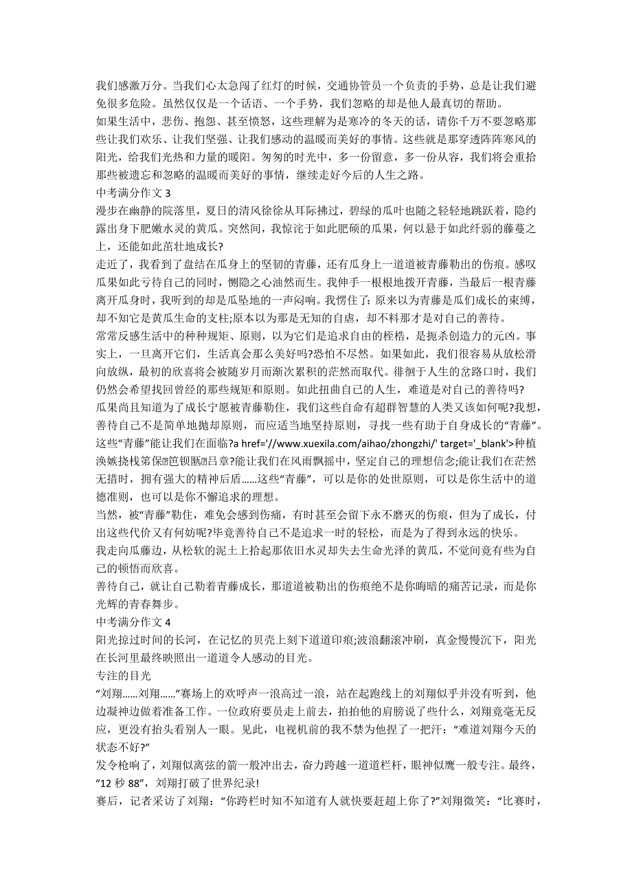 2020中考满分作文5篇精选大全_第2页