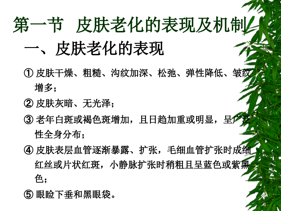 《延缓皮肤老化药》PPT课件_第2页