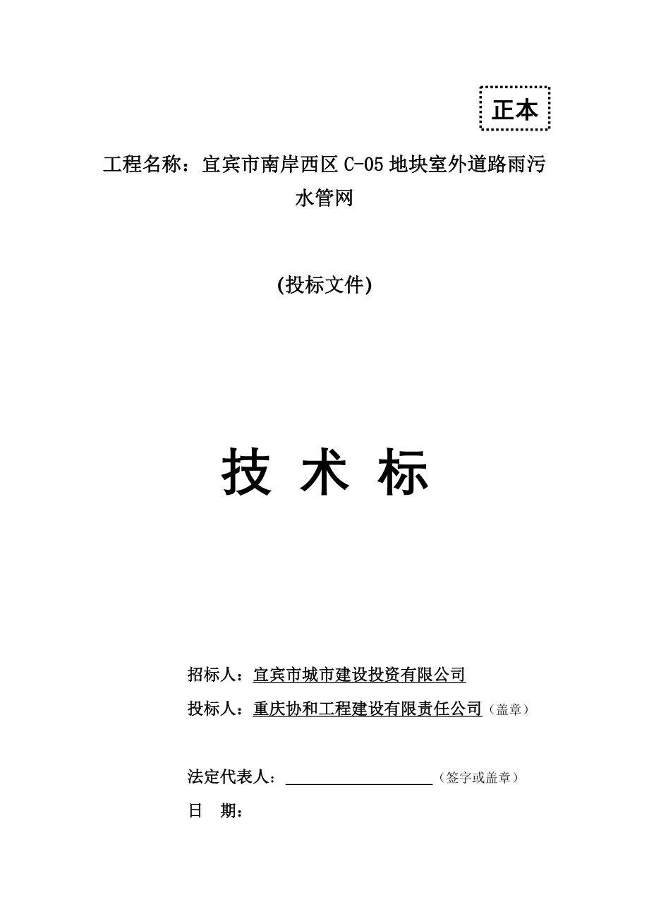 宜宾市南岸西区C-05室外道路雨污水管网工程技术标书_第1页