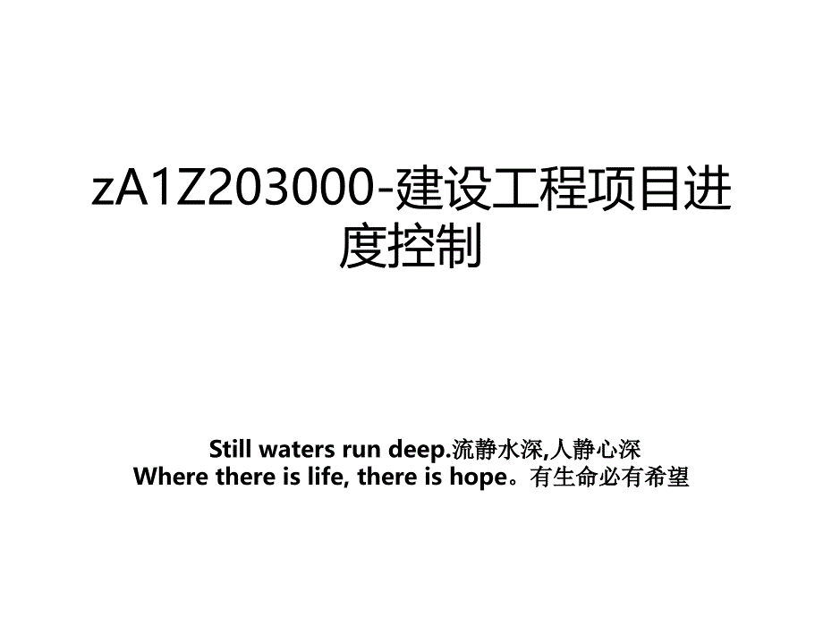 zA1Z203000建设工程项目进度控制_第1页