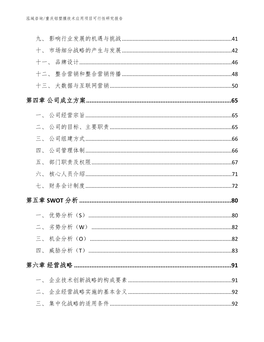 重庆铝塑膜技术应用项目可行性研究报告【模板参考】_第3页