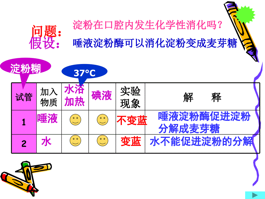 食物在胃肠内消化_第2页