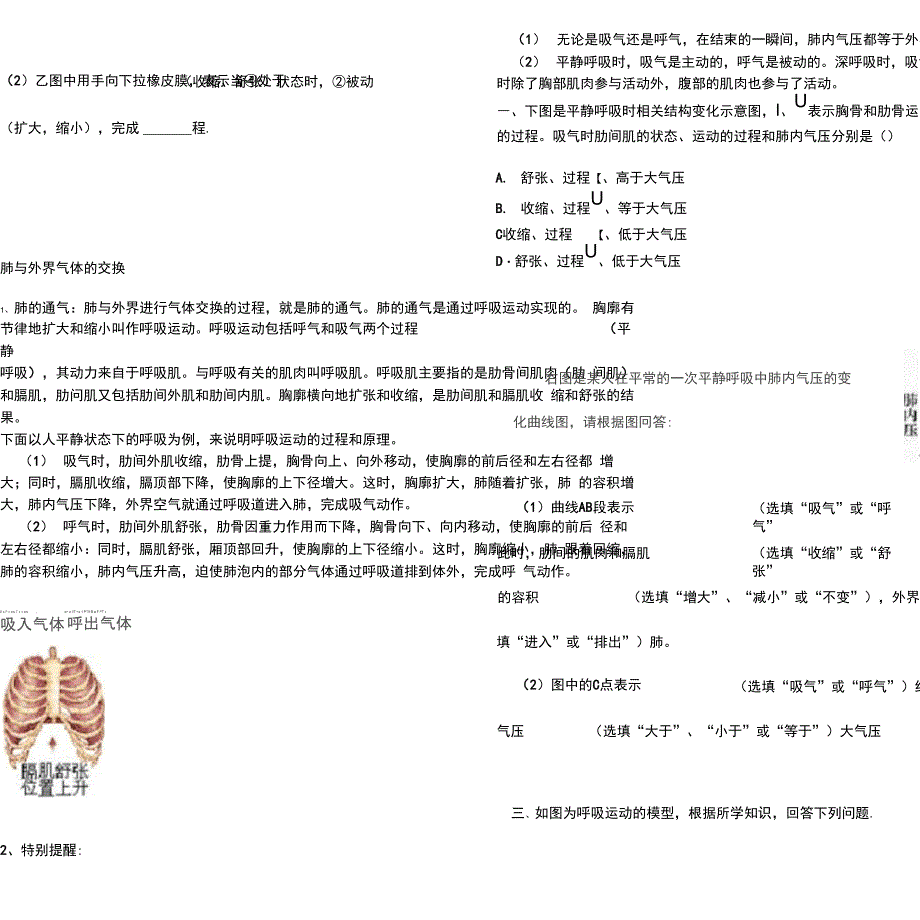 人体与外界的气体交换_第3页