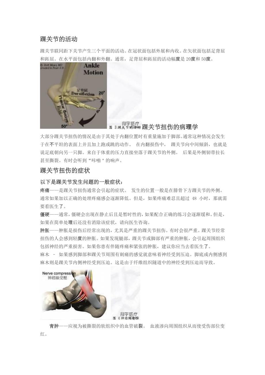 踝关节的损伤预防机制与运动康复训练.doc_第2页