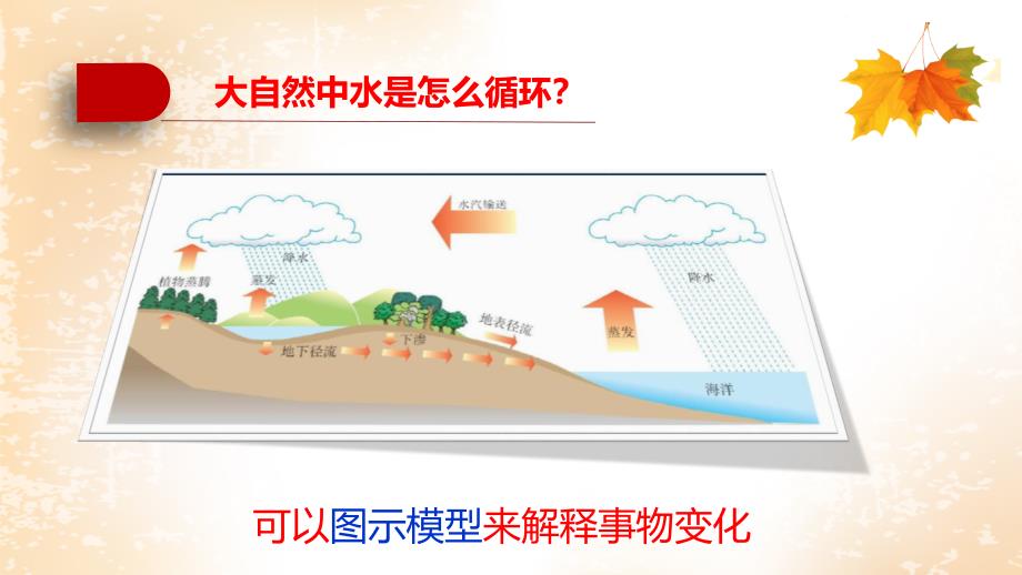 五年级上册科学课件5.2建立模型苏教版共7张PPT_第3页