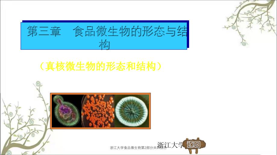 浙江大学食品微生物第2部分共四部分_第2页