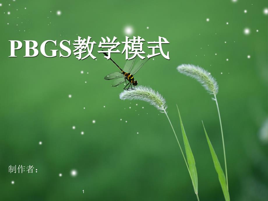 PBGS教学模式_第1页