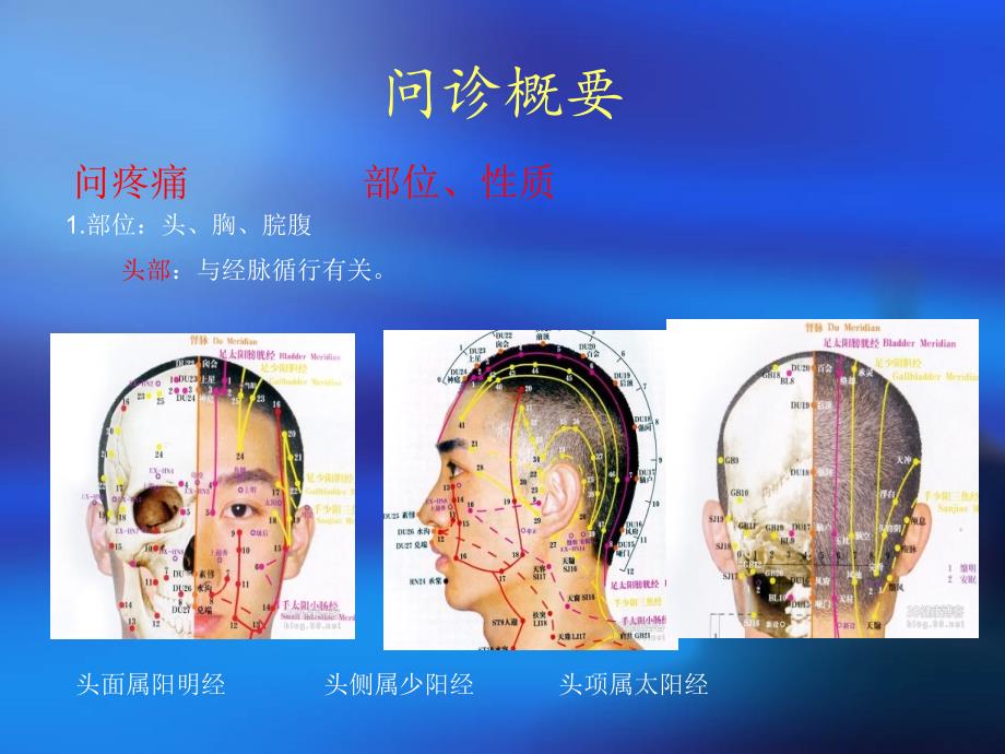 中医护理诊断程序及护理原则ppt课件_第4页