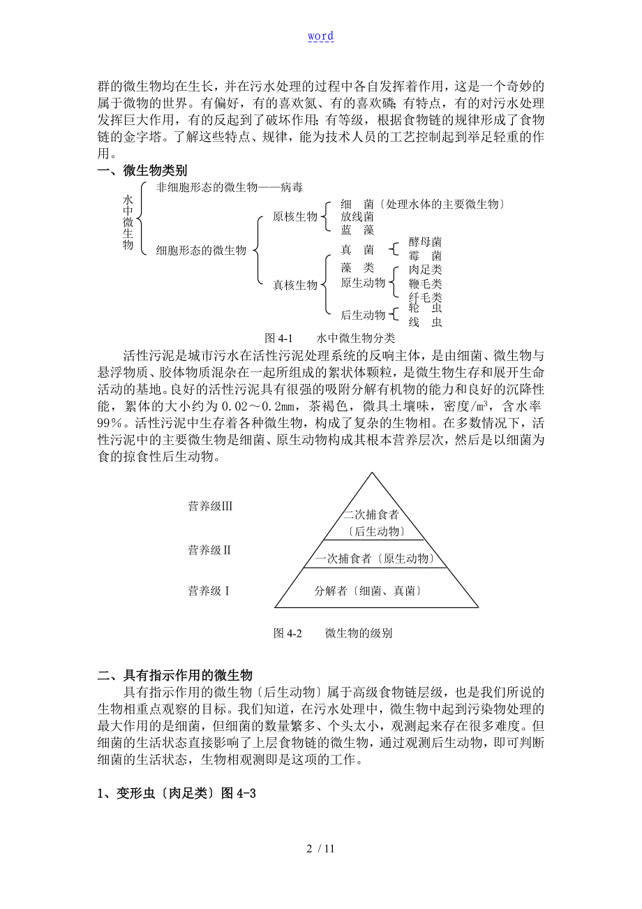 污水处理中地微生物原理_第2页