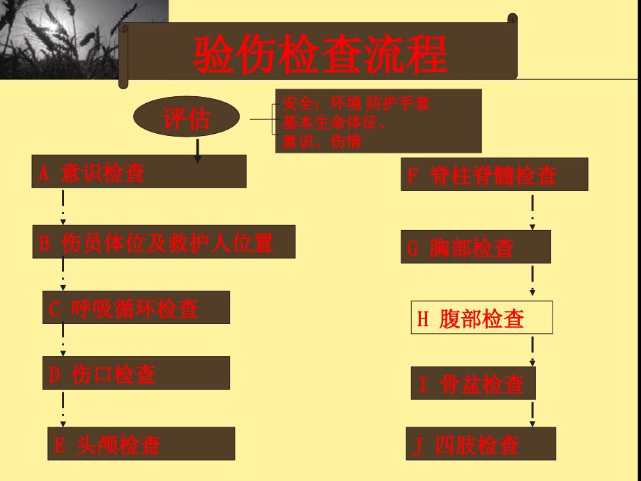 创伤现场急救PPT课件_第4页