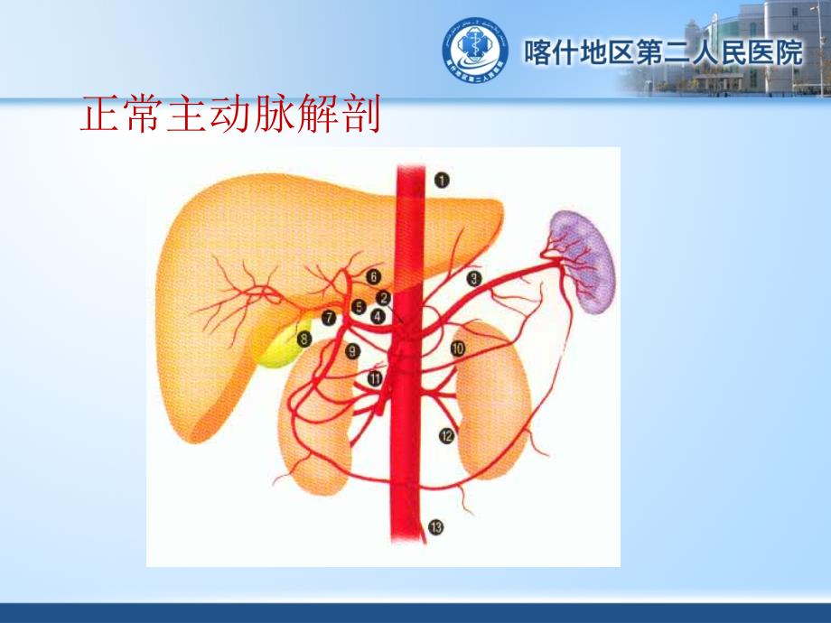 小讲课腹主动脉CTA_第2页