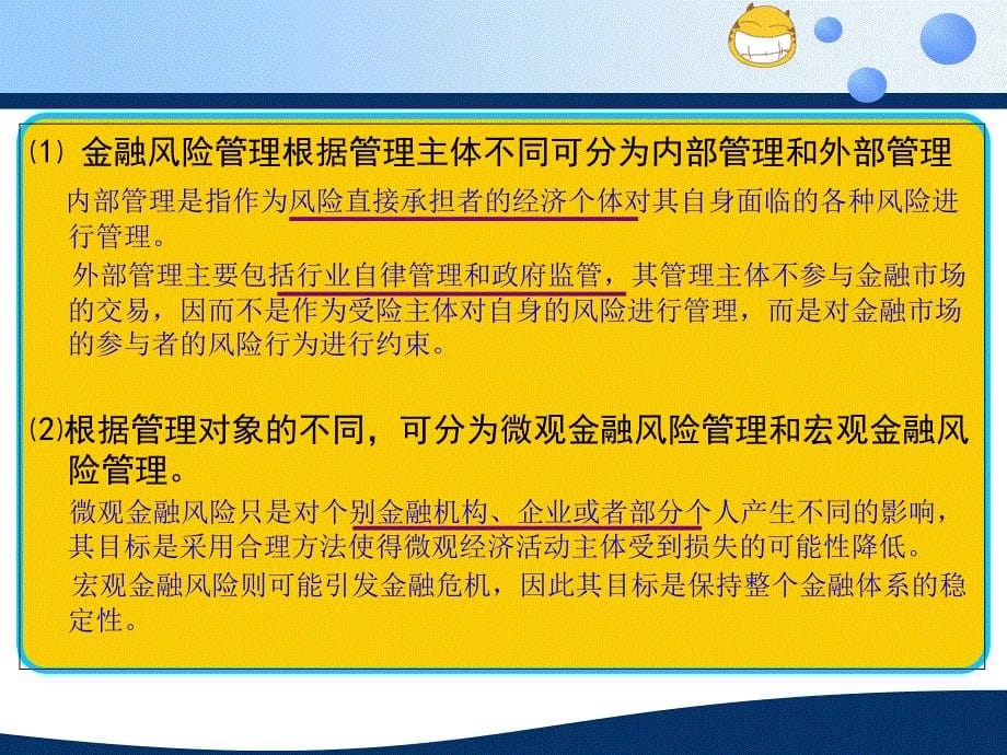 金融风险管理的基本理论_第5页