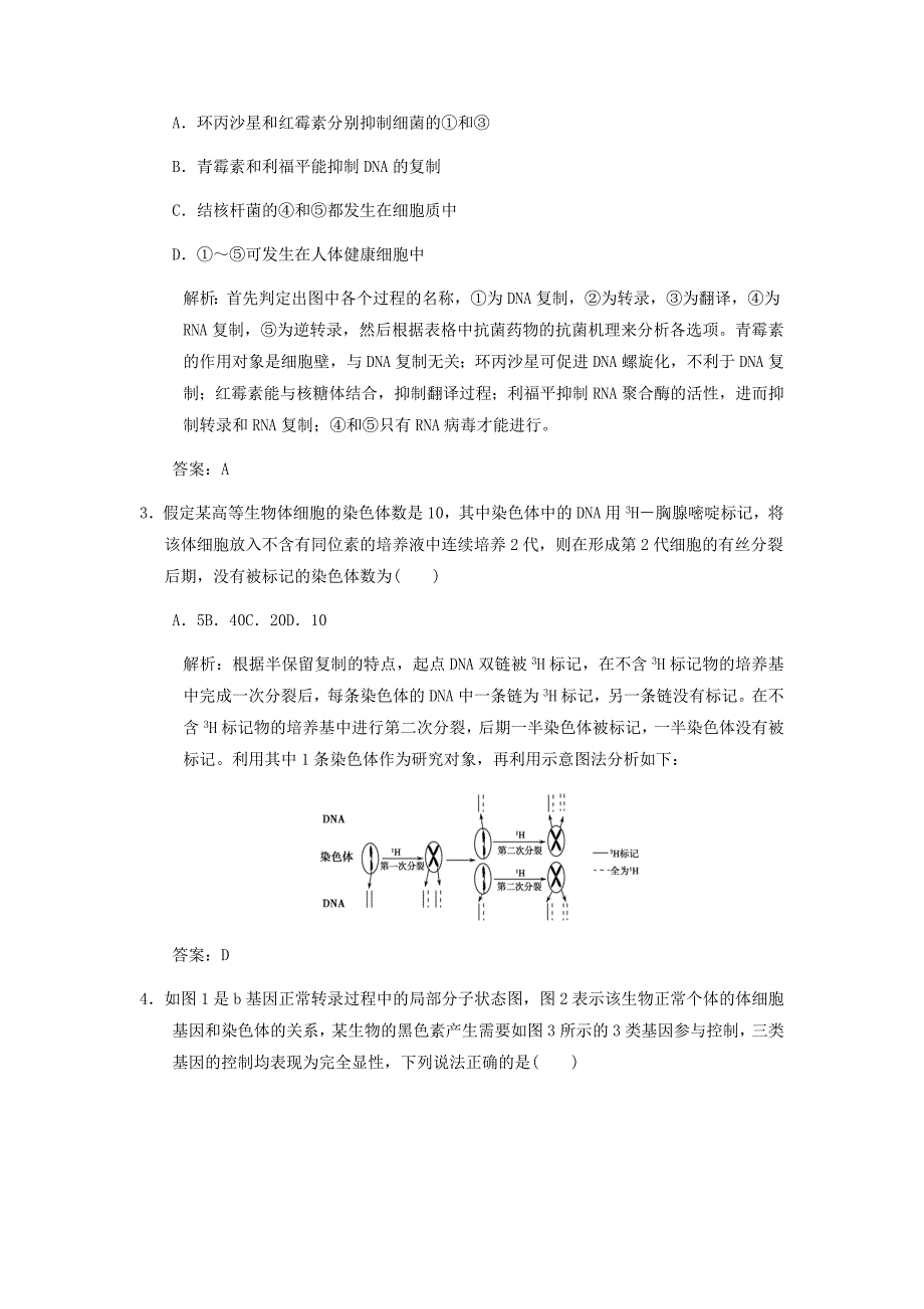 2022年高考生物课后考点复习教案4 新人教版_第2页