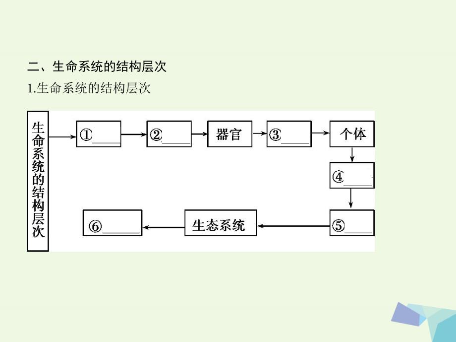 新课标高考生物一轮复习分子与细胞第1单元细胞的分子组成第4讲走近细胞课件必修1共34页_第4页