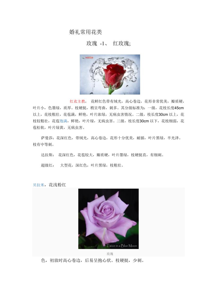 婚礼用花,辅草.doc_第1页