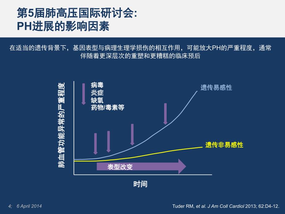 肺动脉高压诊疗新视点_第4页