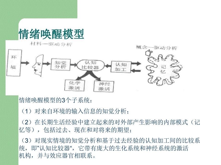 情感信息与表情之间的关系分析_第5页