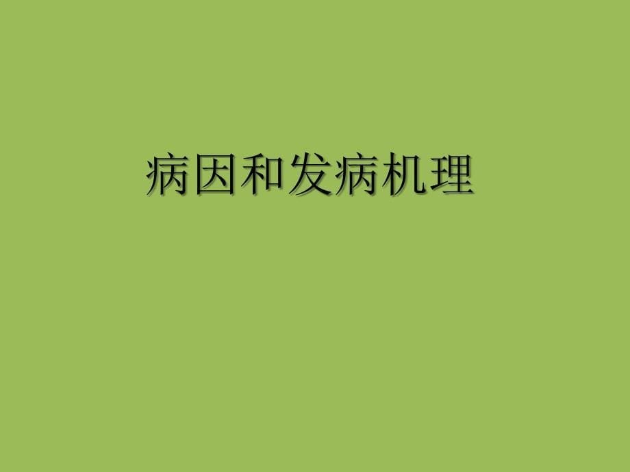 儿童结核病ppt课件教学教程_第5页