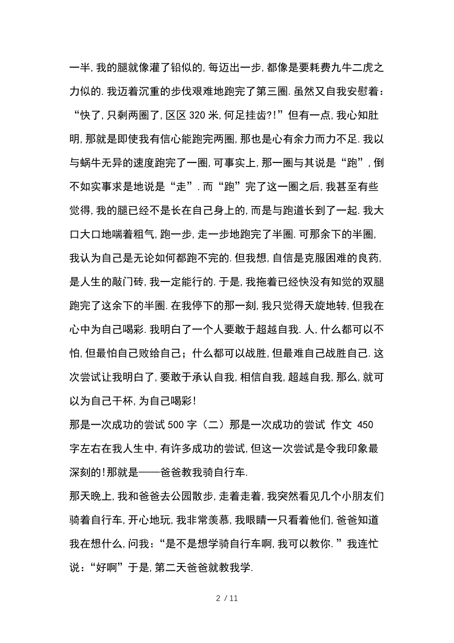 那是一次成功的尝试500字_第2页