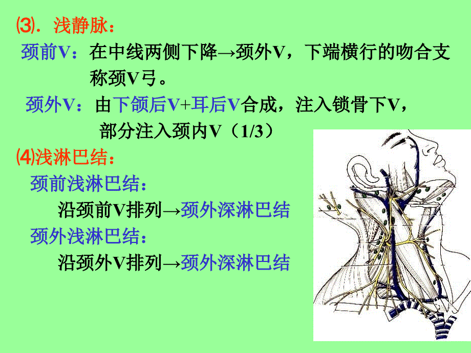 颈部局解应用解剖_第4页