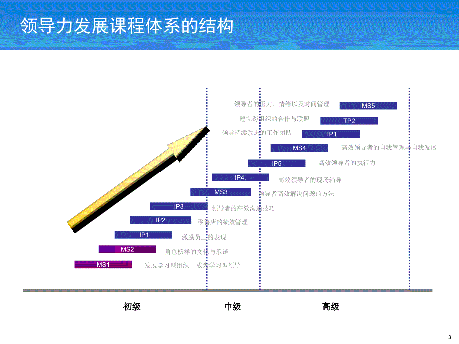 上海大众内部培训经销商经理人领导力发展课程体系设计_第3页