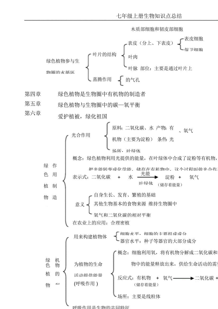 最完整七年级上册生物知识点总结0104135035精华版_第5页