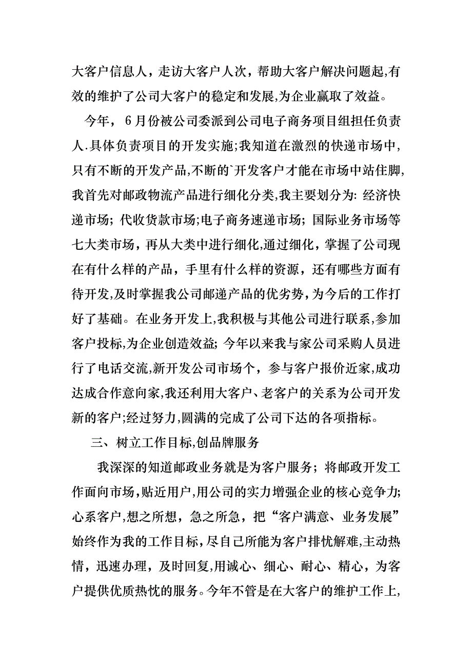 公司电子商务项目负责人述职报告_第3页