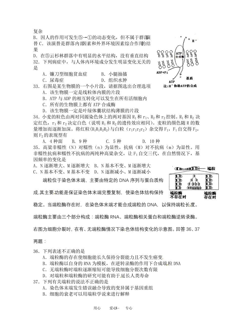 2011年湖南省中学生生物学奥林匹克竞赛选拔赛试题 (1).doc_第5页